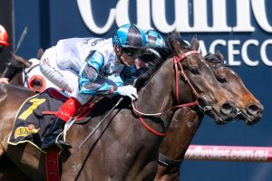 Group One winner heads offshore