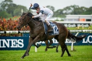 She Will Reign and Single Gaze foal in Japan
