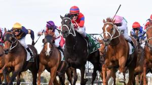 Spring Carnival Newsletter