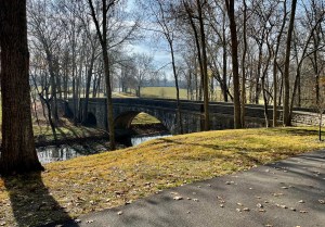 Rich horse trainers buy up big, but sales soften ‘at the lower end’