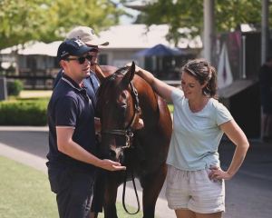 Six purchases alongside Annabel Neasham at the Inglis Classic Yearling Sale