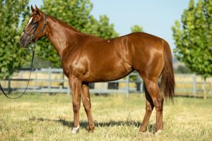 Drifting lands the G3 Magic Night Stakes