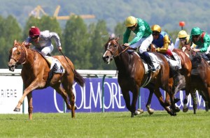 The Punt – WOLFDEN