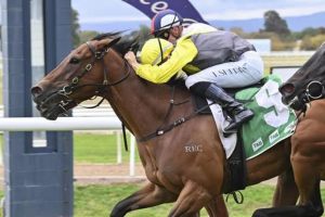 Coco Jamboo – an impressive G3 winner on debut in Australia
