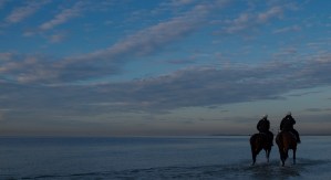 Reforming NSW Thoroughbred Racing for Future Generations