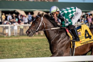 The World’s Fastest Horse is coming to Widden in 2025